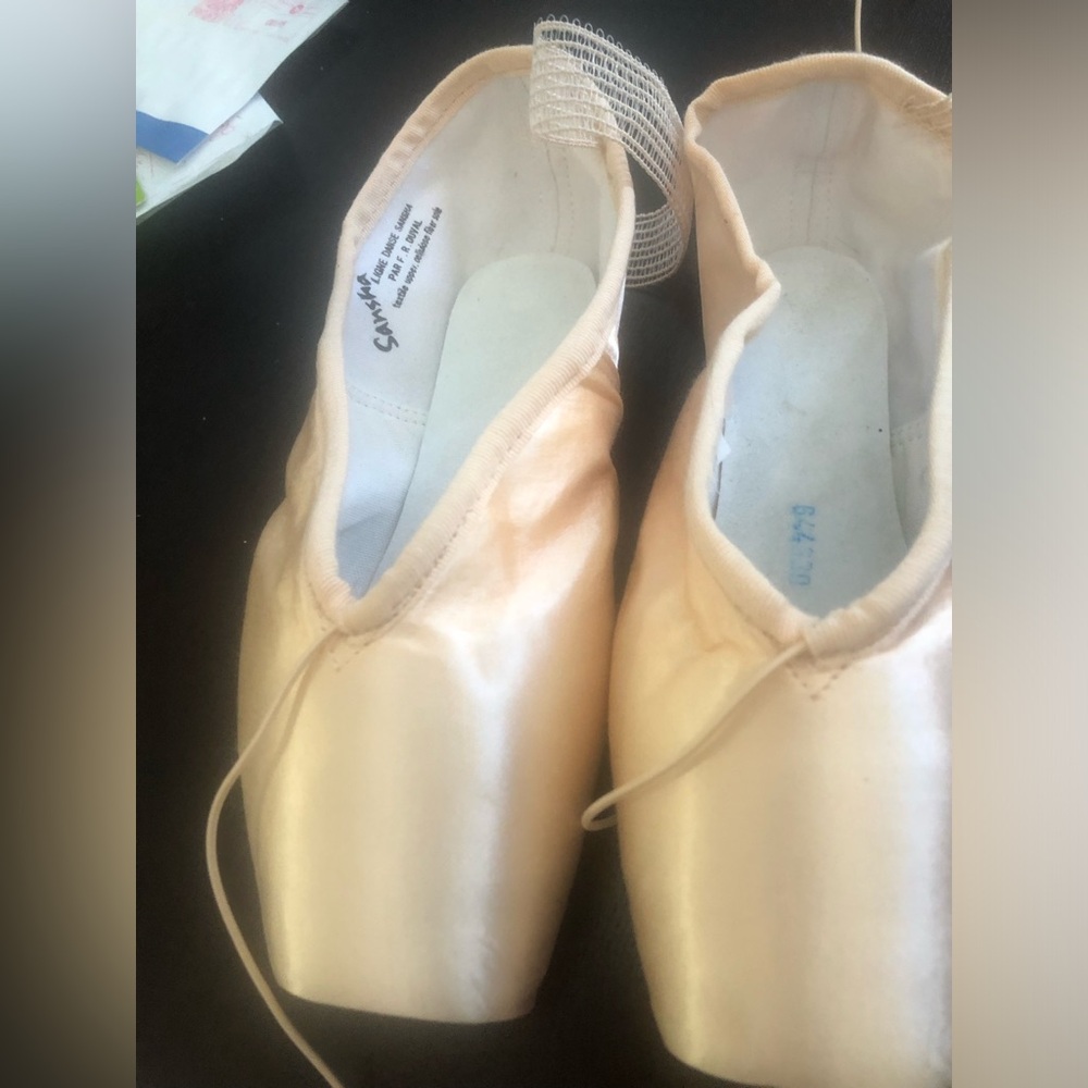 Pointe shoes - Petersburg Reg 9W Sansha. Or use as a decorative piece